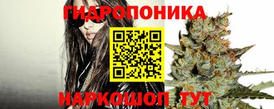 прущие крисы Рязань