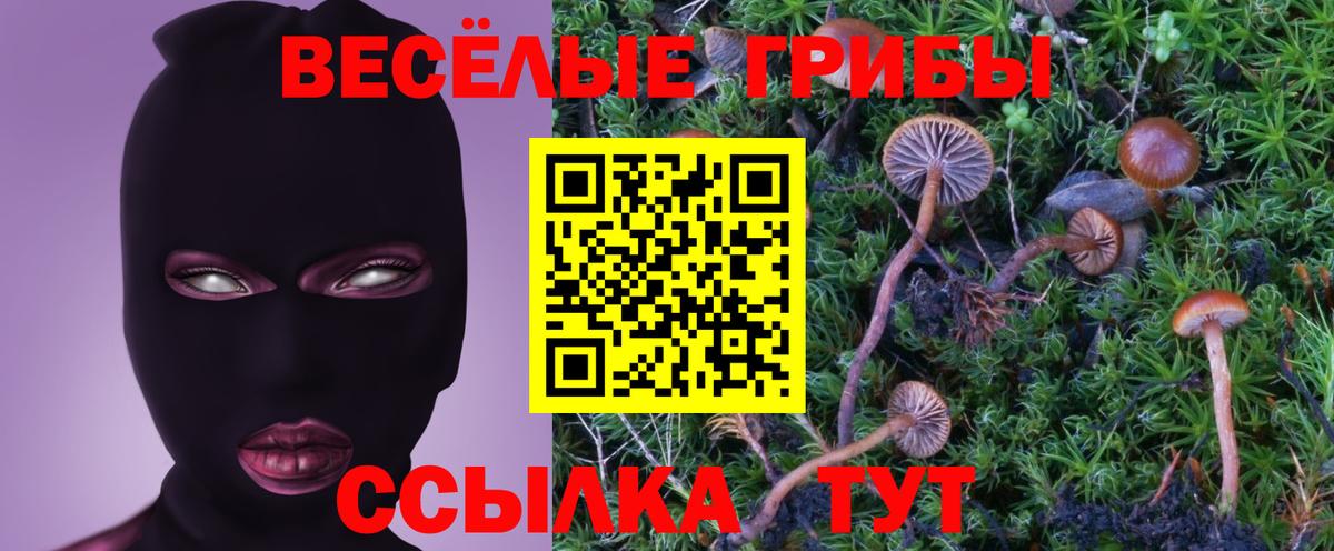 закладки  Вход с VPN  Подольск  Псилоцибиновые грибы Magic Shrooms 